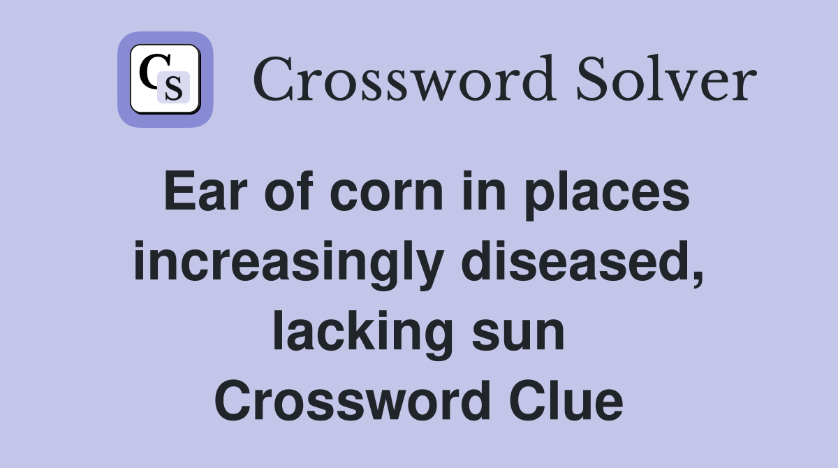 Ear of corn in places increasingly diseased, lacking sun Crossword Clue
