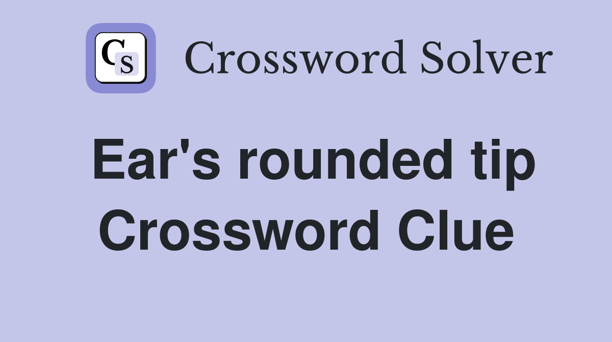 Ear's rounded tip Crossword Clue