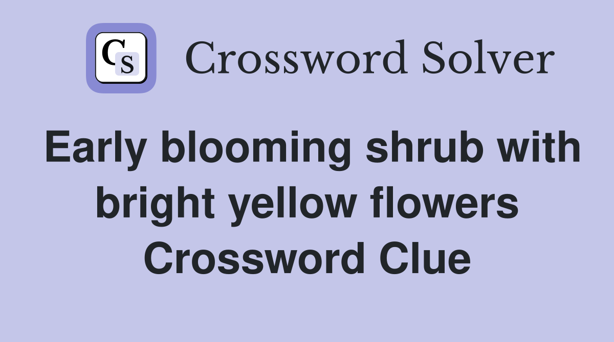 Early blooming shrub with bright yellow flowers Crossword Clue