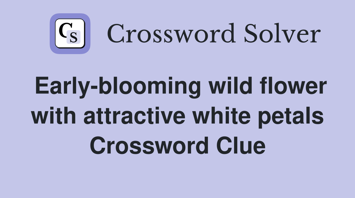 Early-blooming wild flower with attractive white petals Crossword Clue