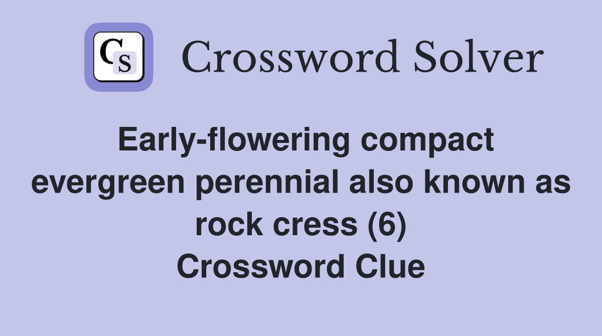 Early-flowering compact evergreen perennial also known as rock cress (6) Crossword Clue
