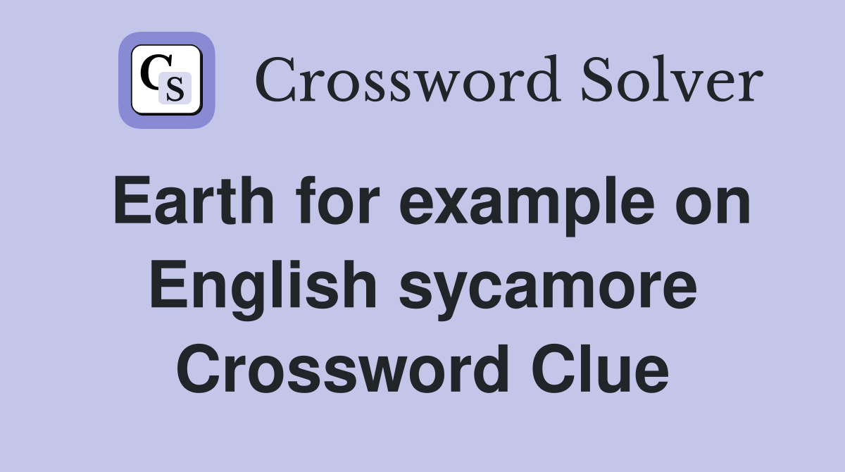 Earth for example on English sycamore Crossword Clue