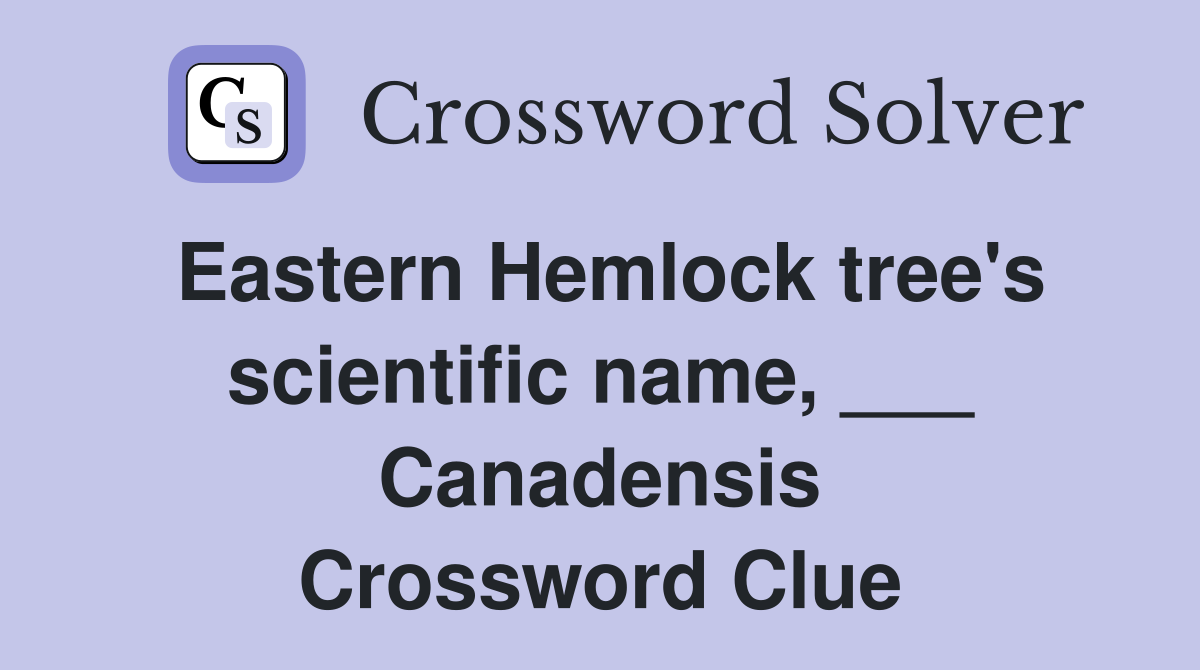 Eastern Hemlock tree's scientific name, ___ Canadensis Crossword Clue