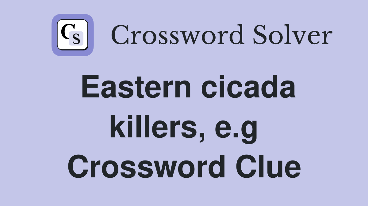 Eastern cicada killers, e.g Crossword Clue
