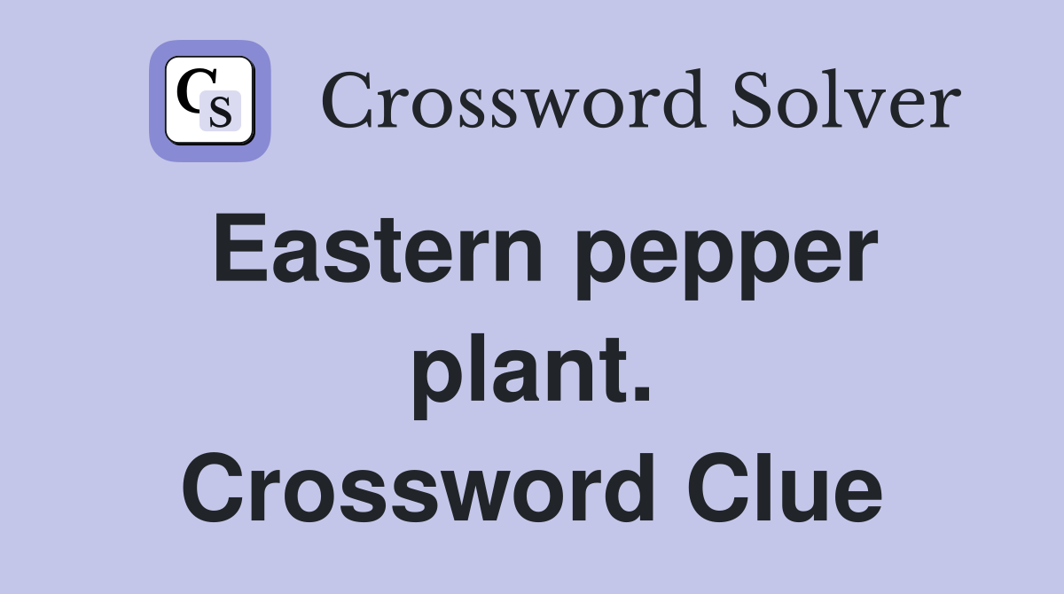 Eastern pepper plant. Crossword Clue