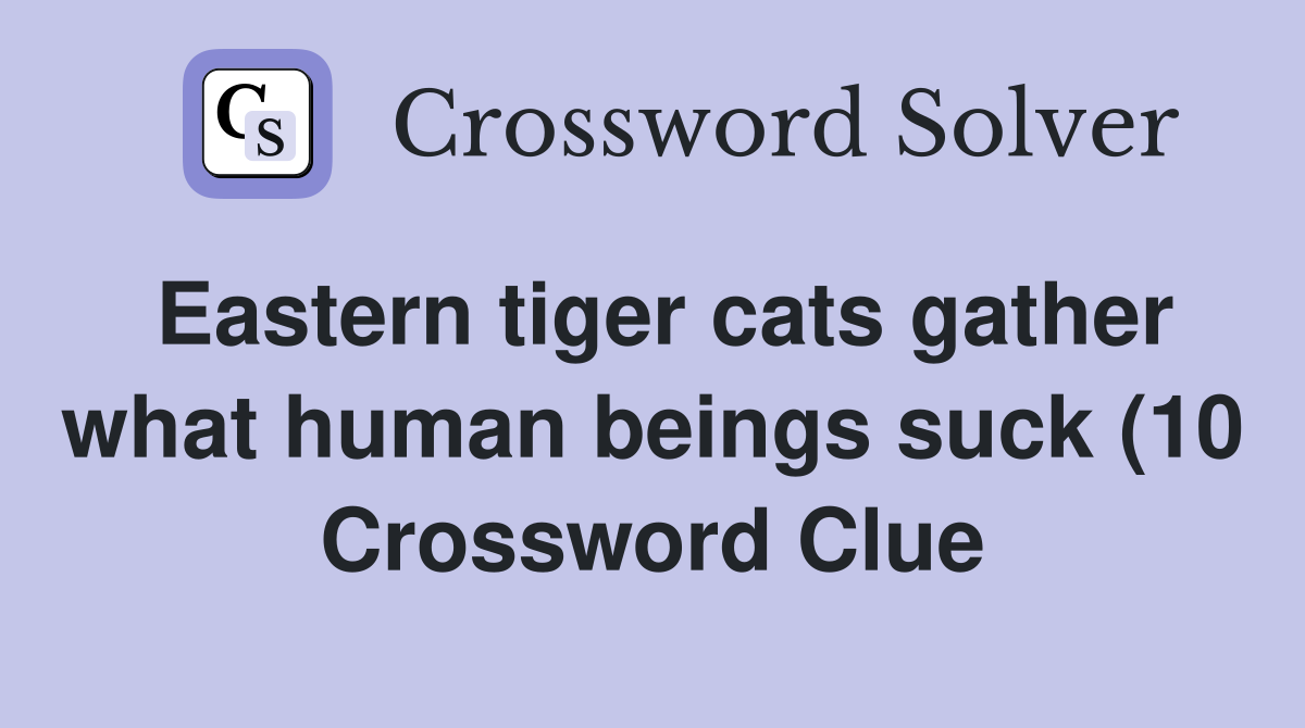 Eastern tiger cats gather what human beings(10) Crossword Clue Eastern tiger cats gather what human beings(10) Crossword Clue