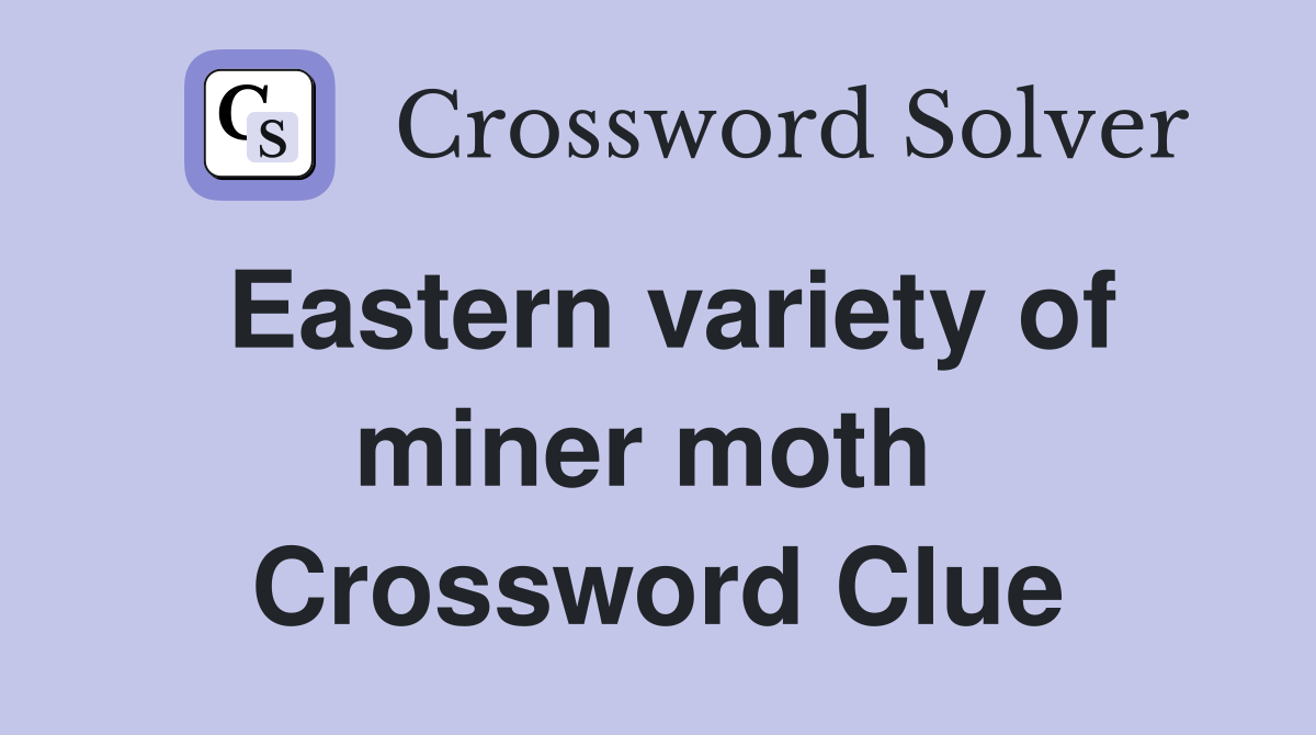 Eastern variety of miner moth  Crossword Clue