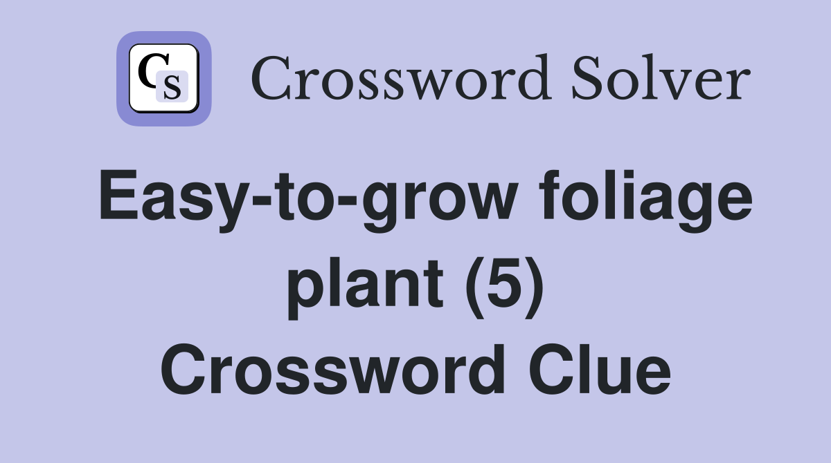 Easy-to-grow foliage plant (5) Crossword Clue