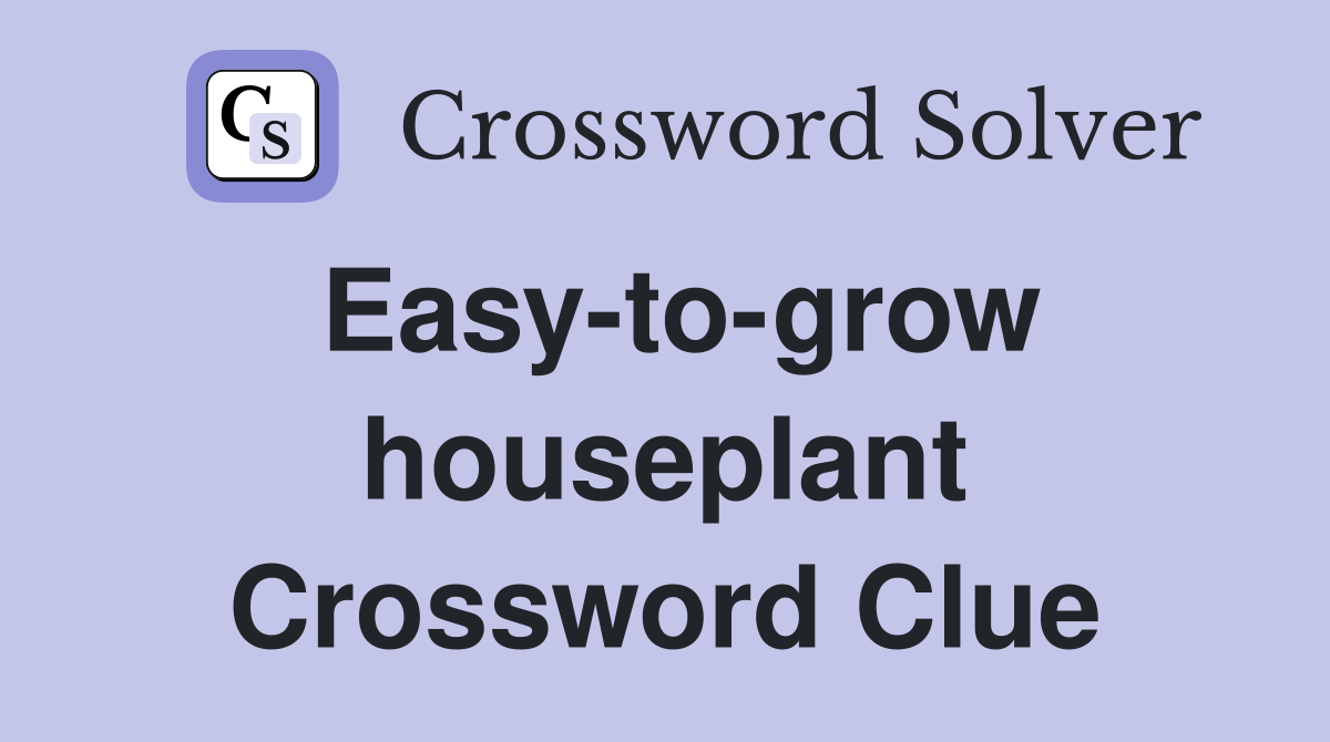 Easy-to-grow houseplant Crossword Clue