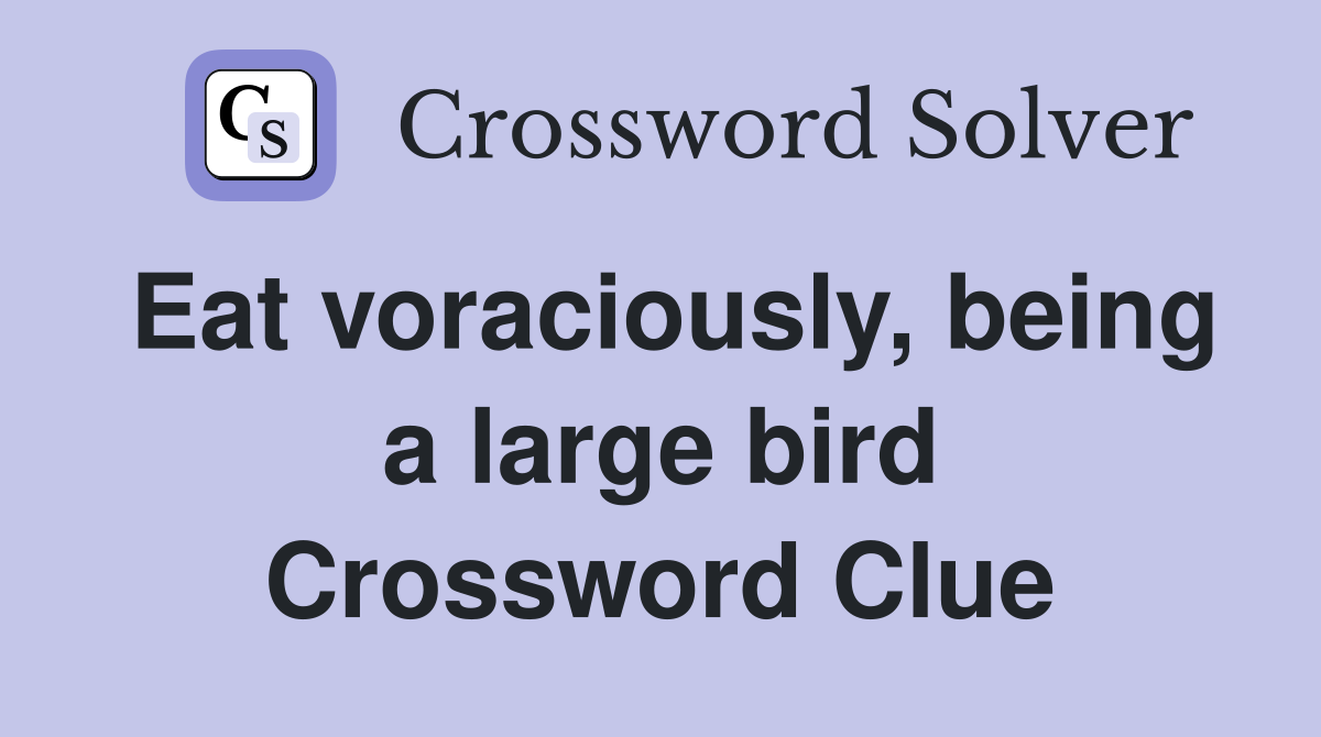 Eat voraciously, being a large bird Crossword Clue