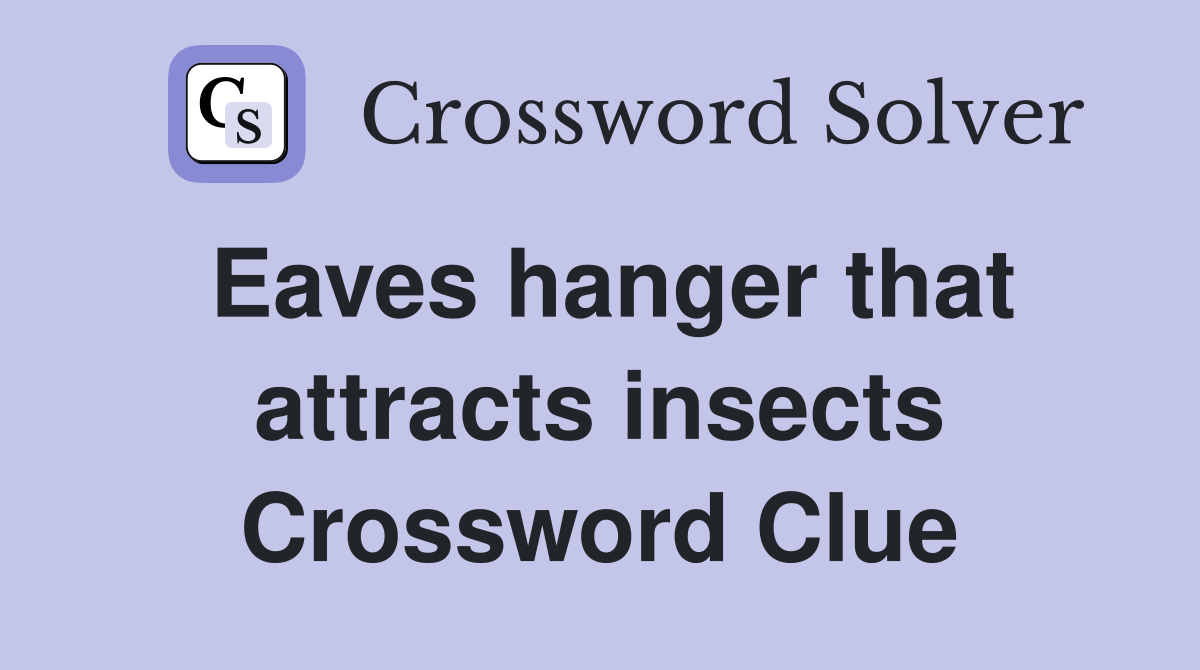 Eaves hanger that attracts insects Crossword Clue
