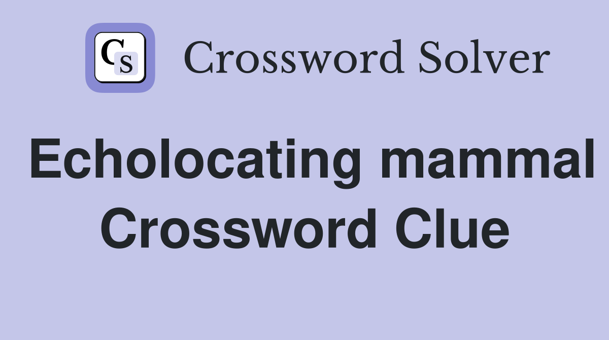 Echolocating mammal Crossword Clue