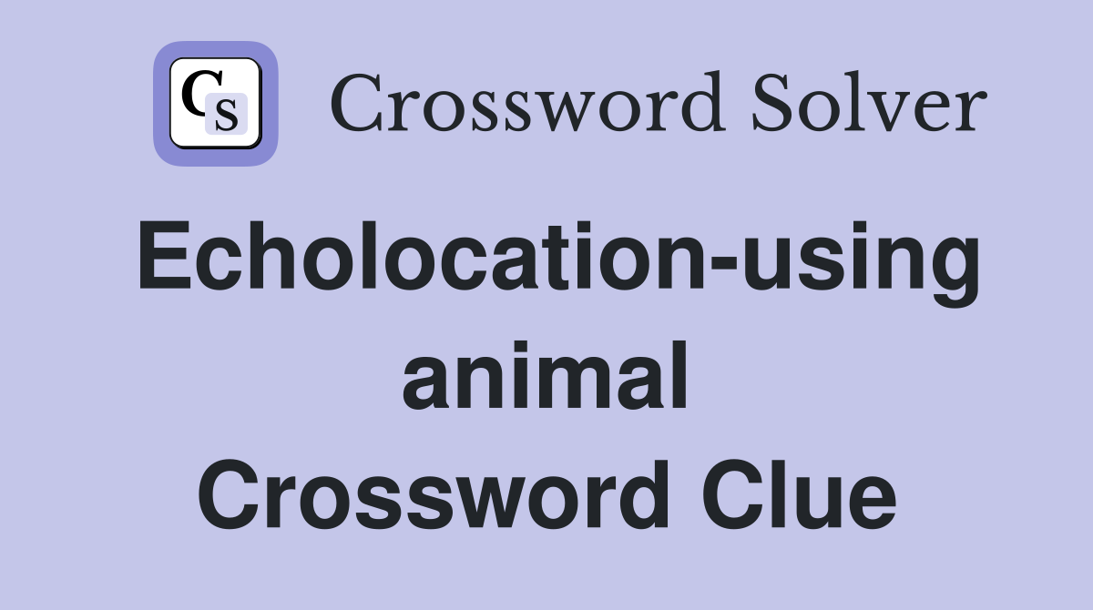Echolocation-using animal Crossword Clue