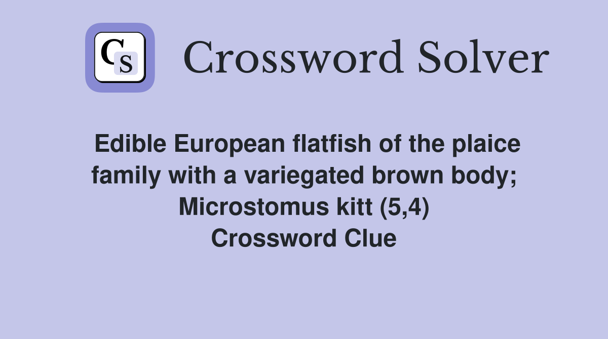Edible European flatfish of the plaice family with a variegated brown body; Microstomus kitt (5,4) Crossword Clue