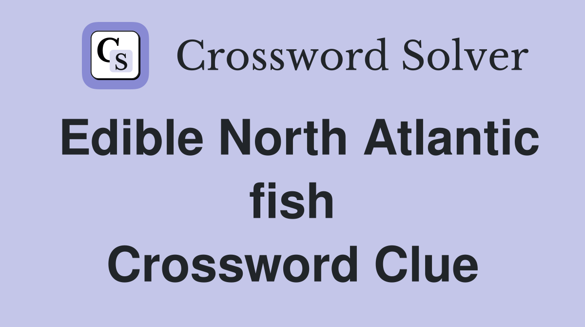 Edible North Atlantic fish Crossword Clue