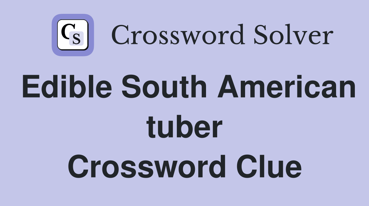 Edible South American tuber Crossword Clue