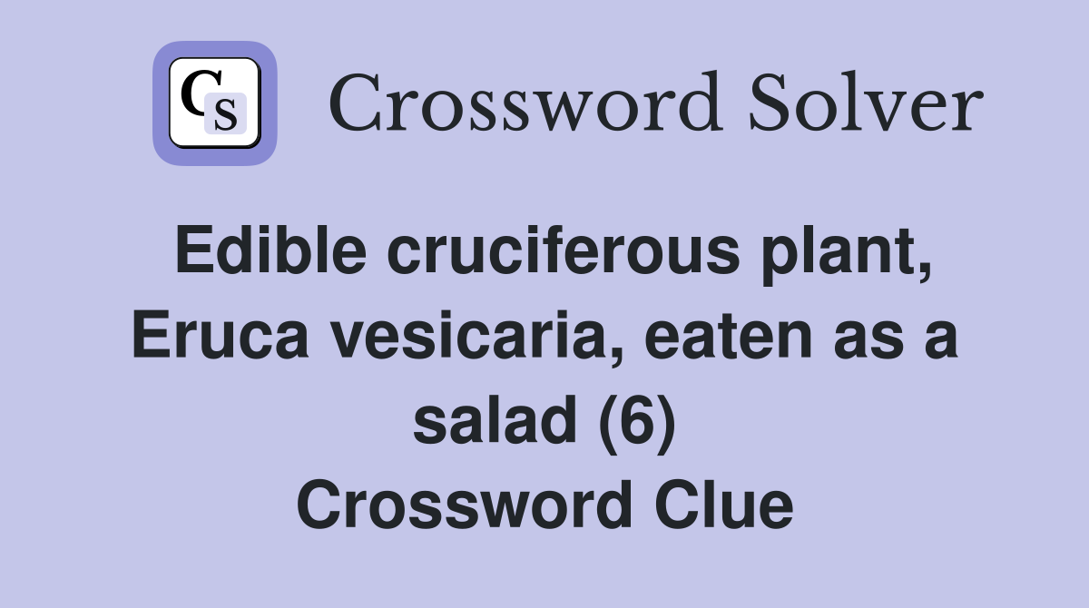 Edible cruciferous plant, Eruca vesicaria, eaten as a salad (6) Crossword Clue
