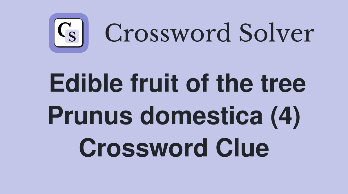 Edible fruit of the tree Prunus domestica (4) Crossword Clue