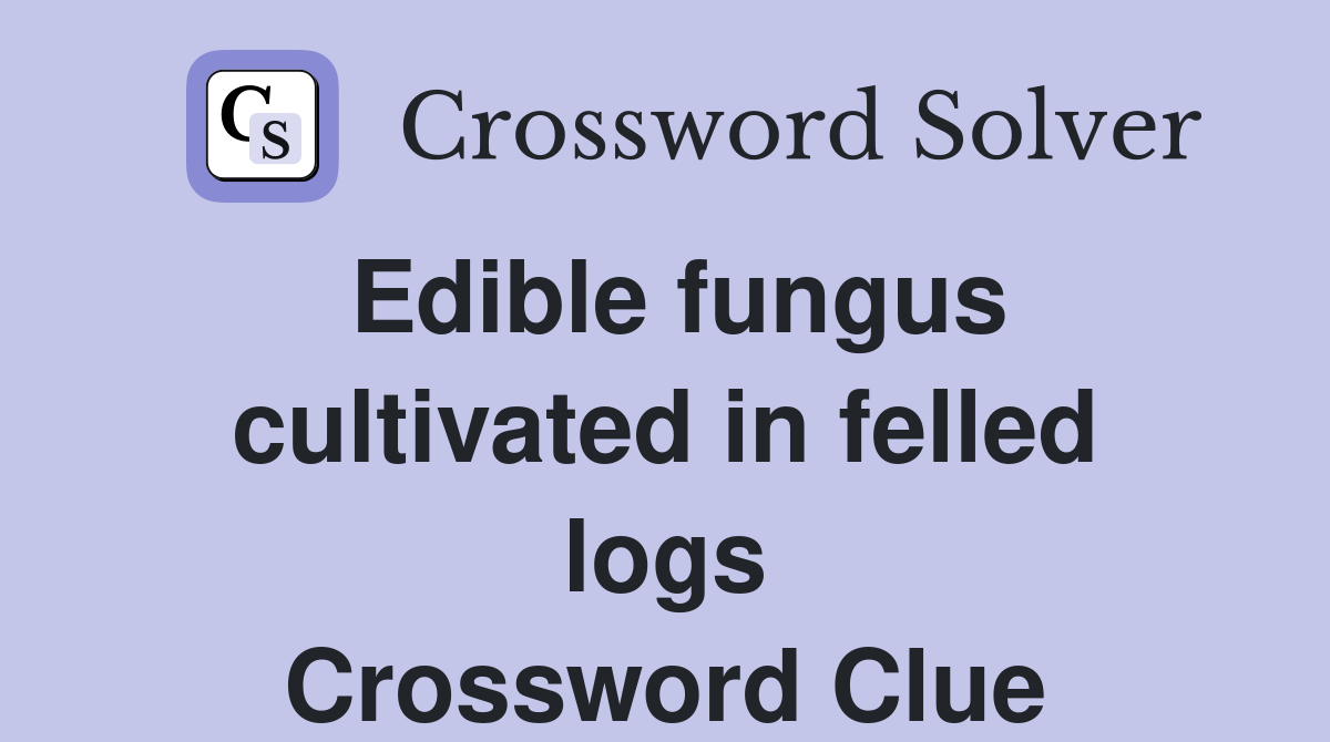 Edible fungus cultivated in felled logs Crossword Clue