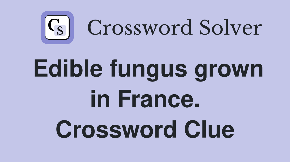 Edible fungus grown in France. Crossword Clue