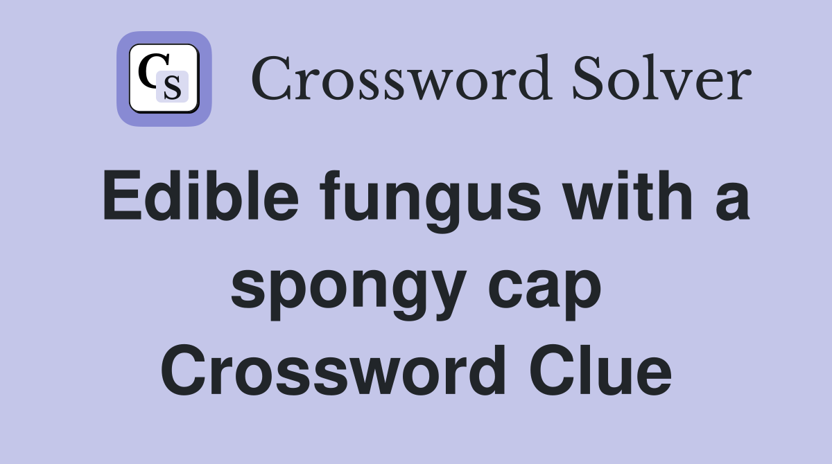 Edible fungus with a spongy cap Crossword Clue