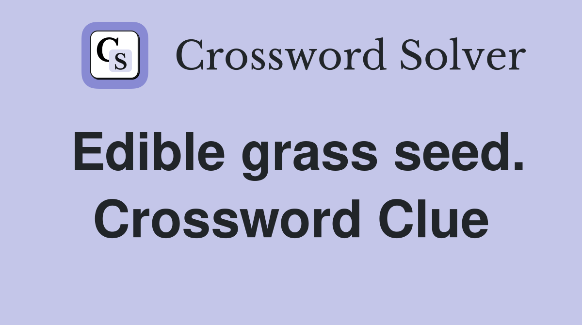 Edible grass seed. Crossword Clue