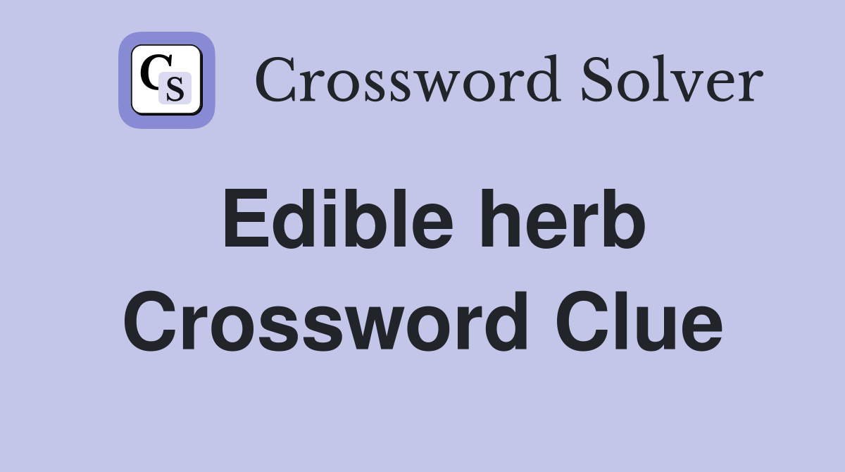 Edible herb Crossword Clue
