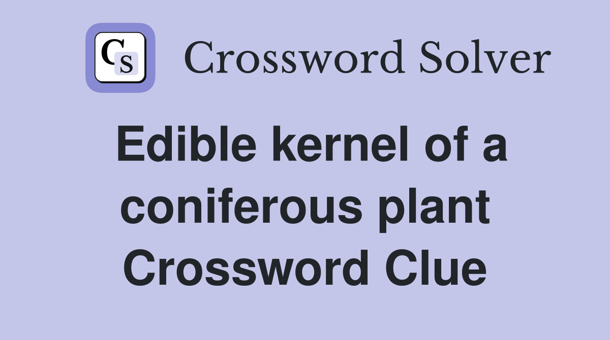 Edible kernel of a coniferous plant Crossword Clue