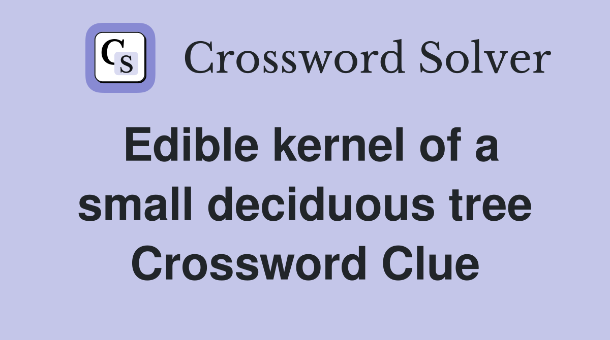 Edible kernel of a small deciduous tree Crossword Clue