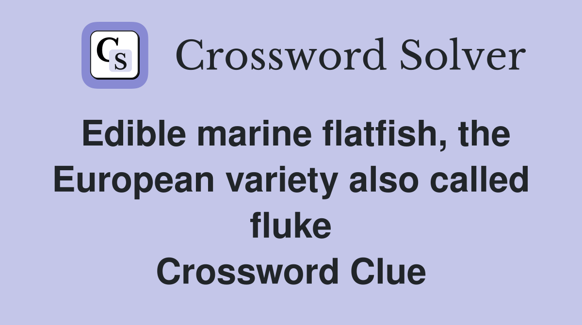 Edible marine flatfish, the European variety also called fluke Crossword Clue
