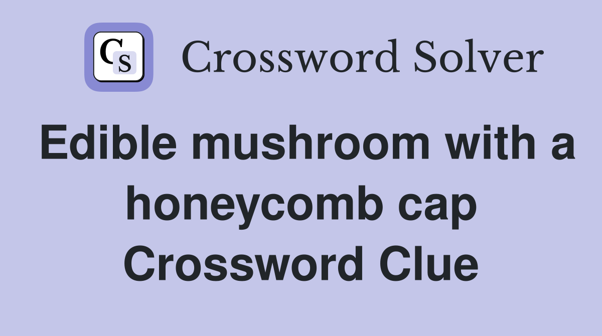 Edible mushroom with a honeycomb cap Crossword Clue