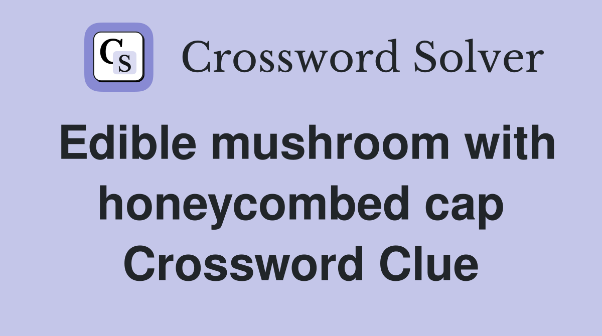 Edible mushroom with honeycombed cap Crossword Clue
