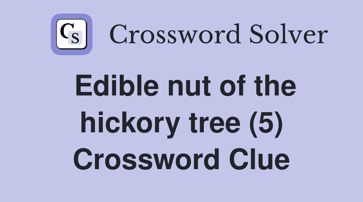 Edible nut of the hickory tree (5) Crossword Clue