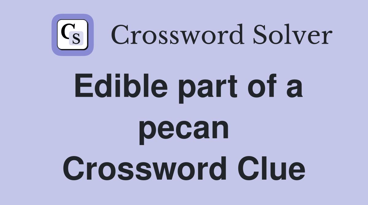 Edible part of a pecan Crossword Clue