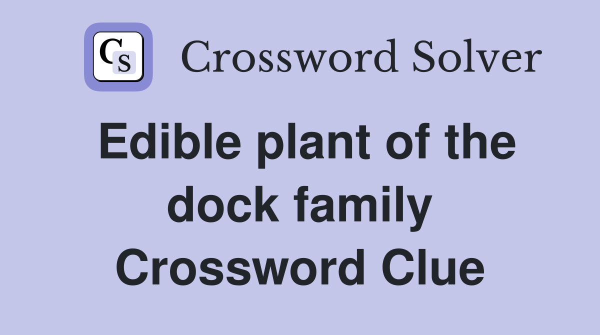 Edible plant of the dock family Crossword Clue