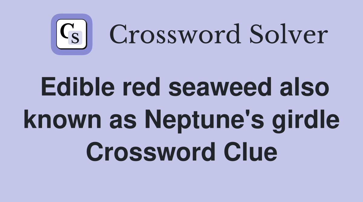 Edible red seaweed also known as Neptune's girdle Crossword Clue