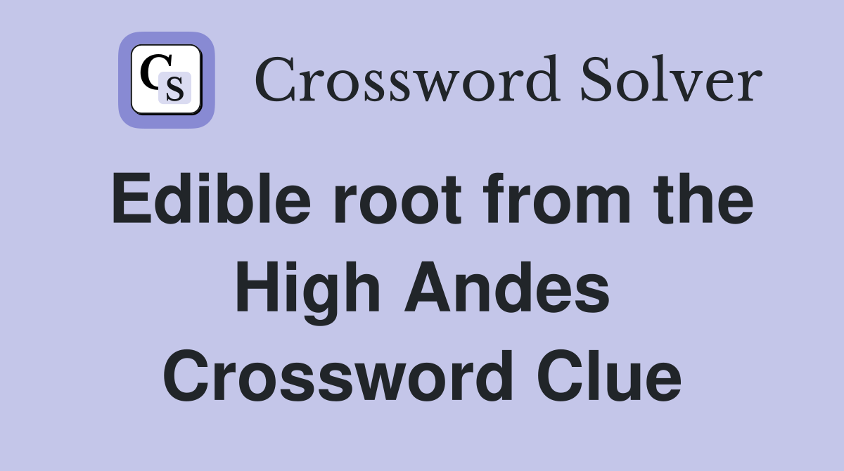 Edible root from the High Andes Crossword Clue