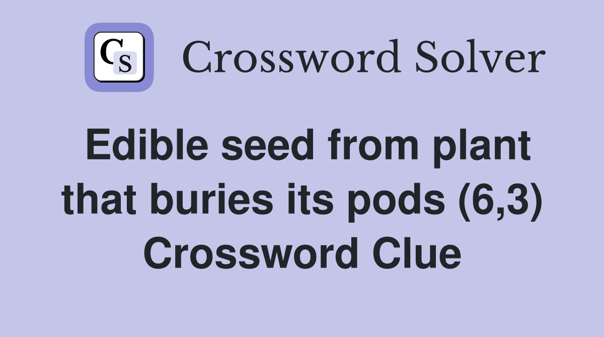 Edible seed from plant that buries its pods (6,3) Crossword Clue