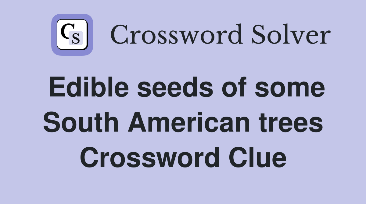 Edible seeds of some South American trees Crossword Clue