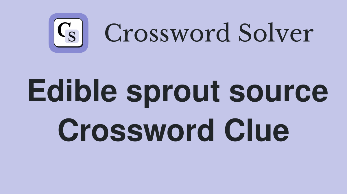 Edible sprout source Crossword Clue
