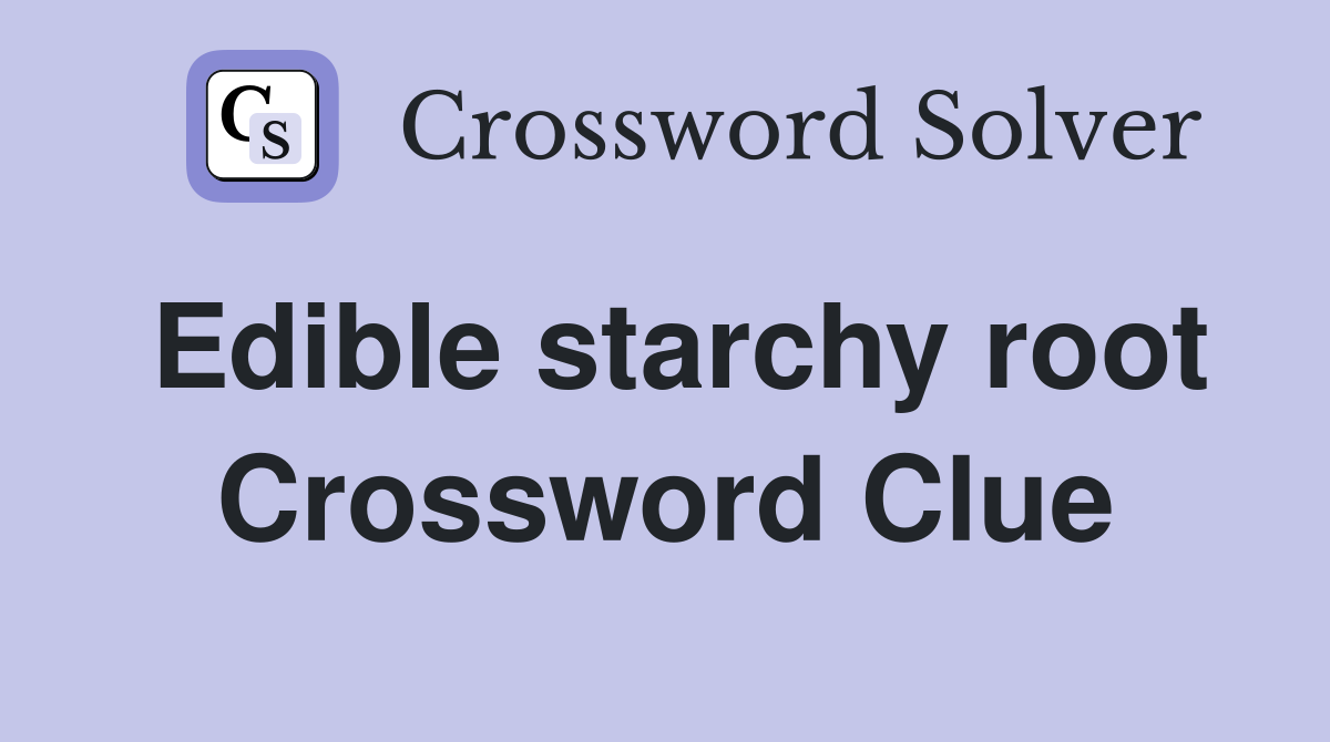 Edible starchy root Crossword Clue