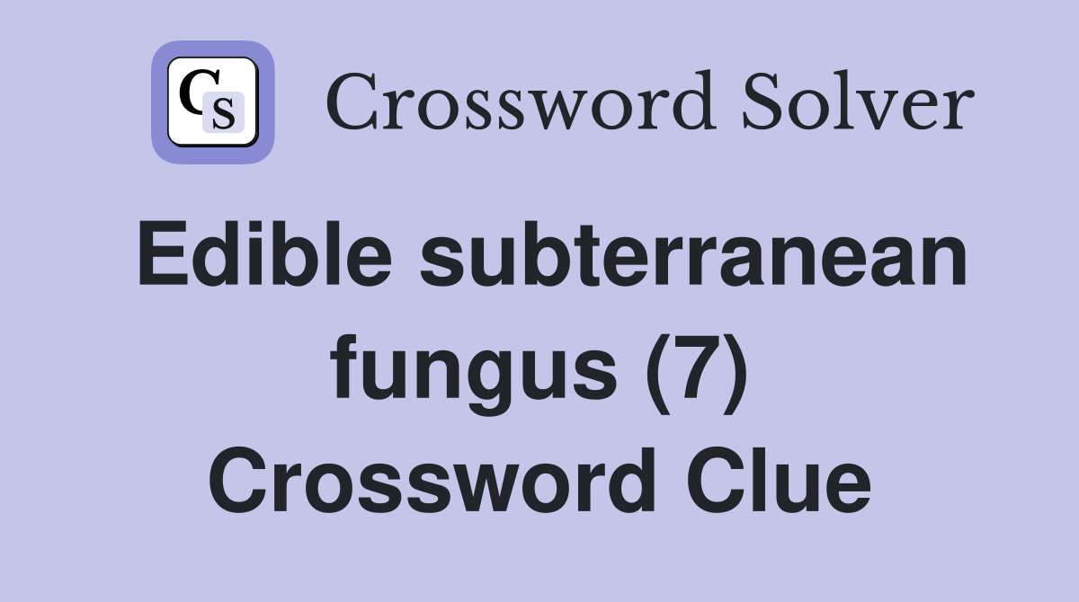 Edible subterranean fungus (7) Crossword Clue