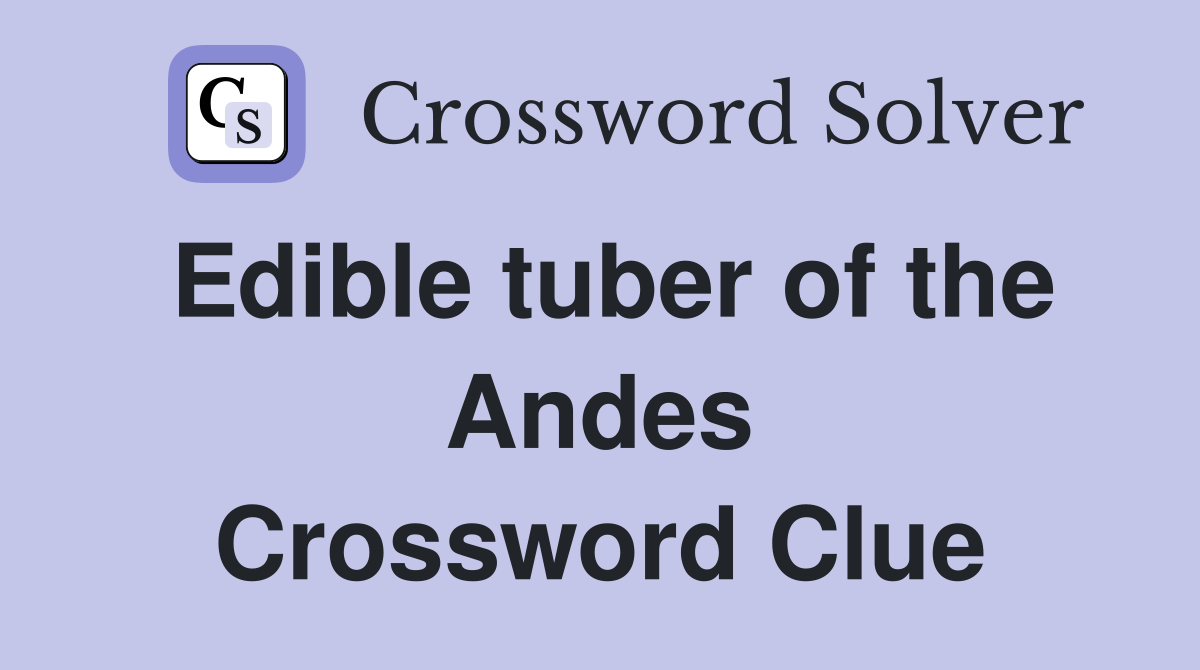 Edible tuber of the Andes Crossword Clue