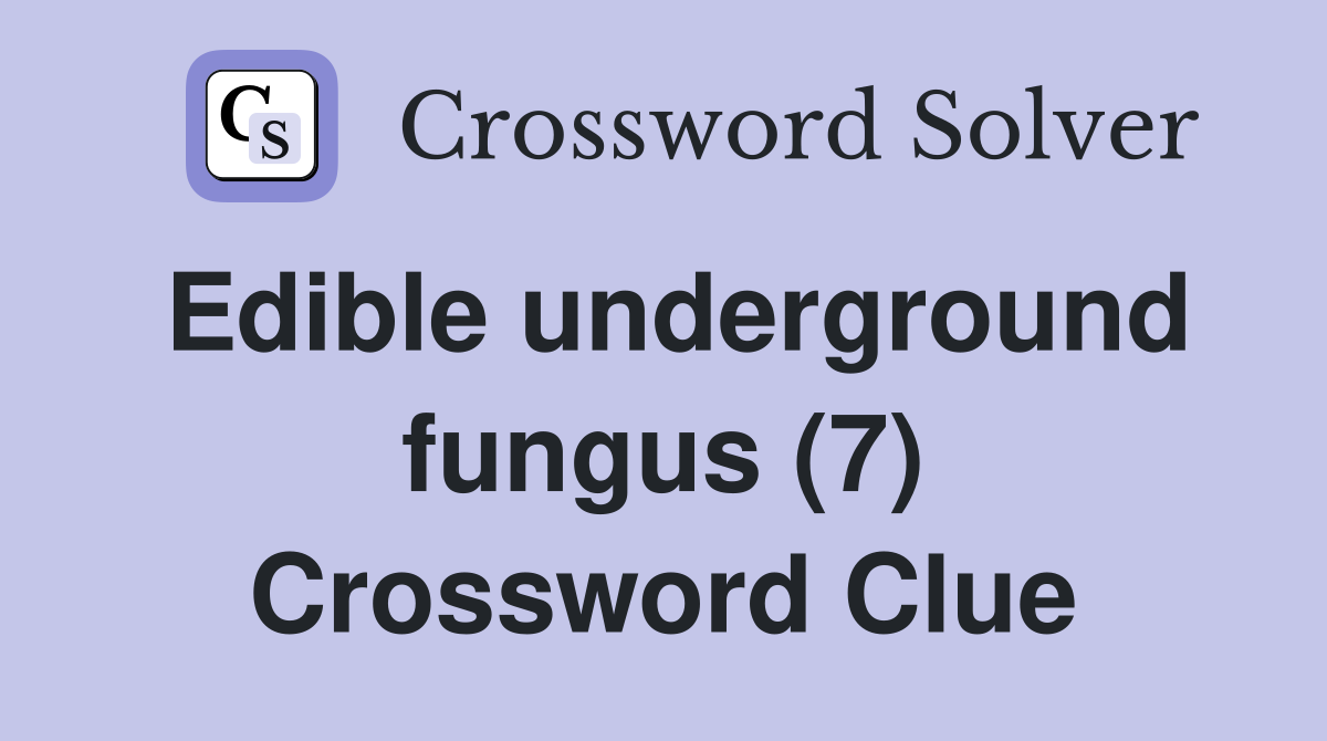 Edible underground fungus (7) Crossword Clue