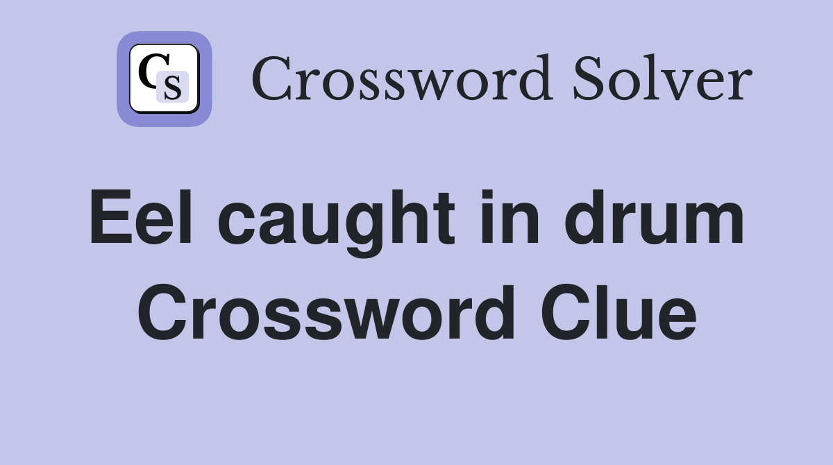 Eel caught in drum  Crossword Clue