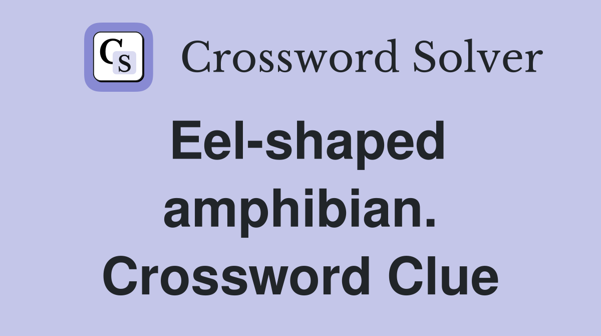 Eel-shaped amphibian. Crossword Clue