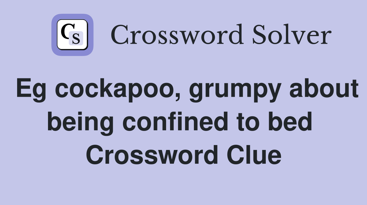 Eg cockapoo, grumpy about being confined to bed  Crossword Clue