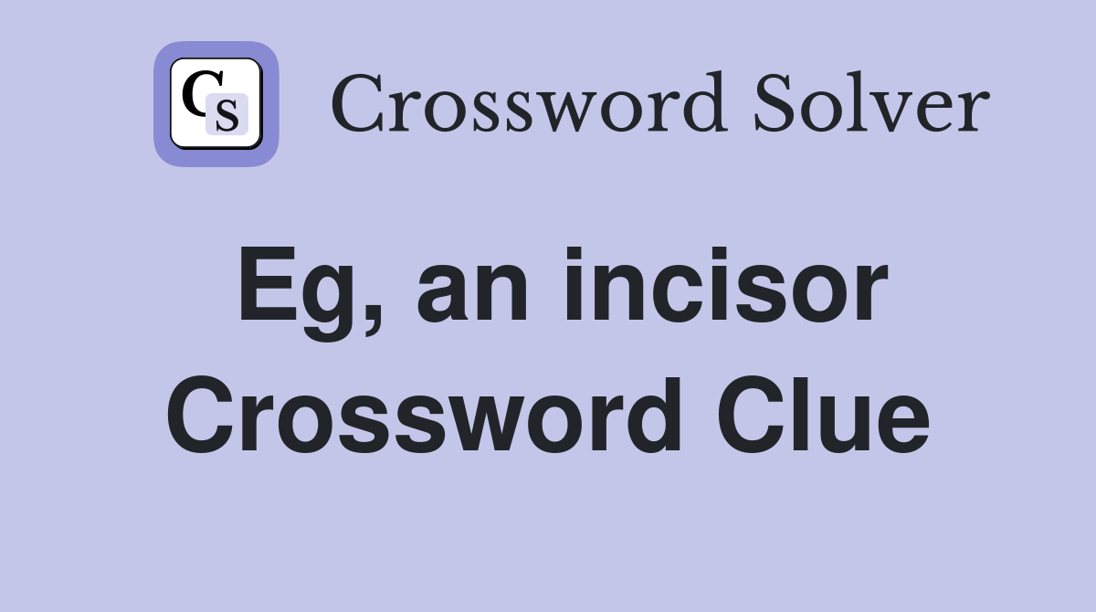 Eg, an incisor Crossword Clue