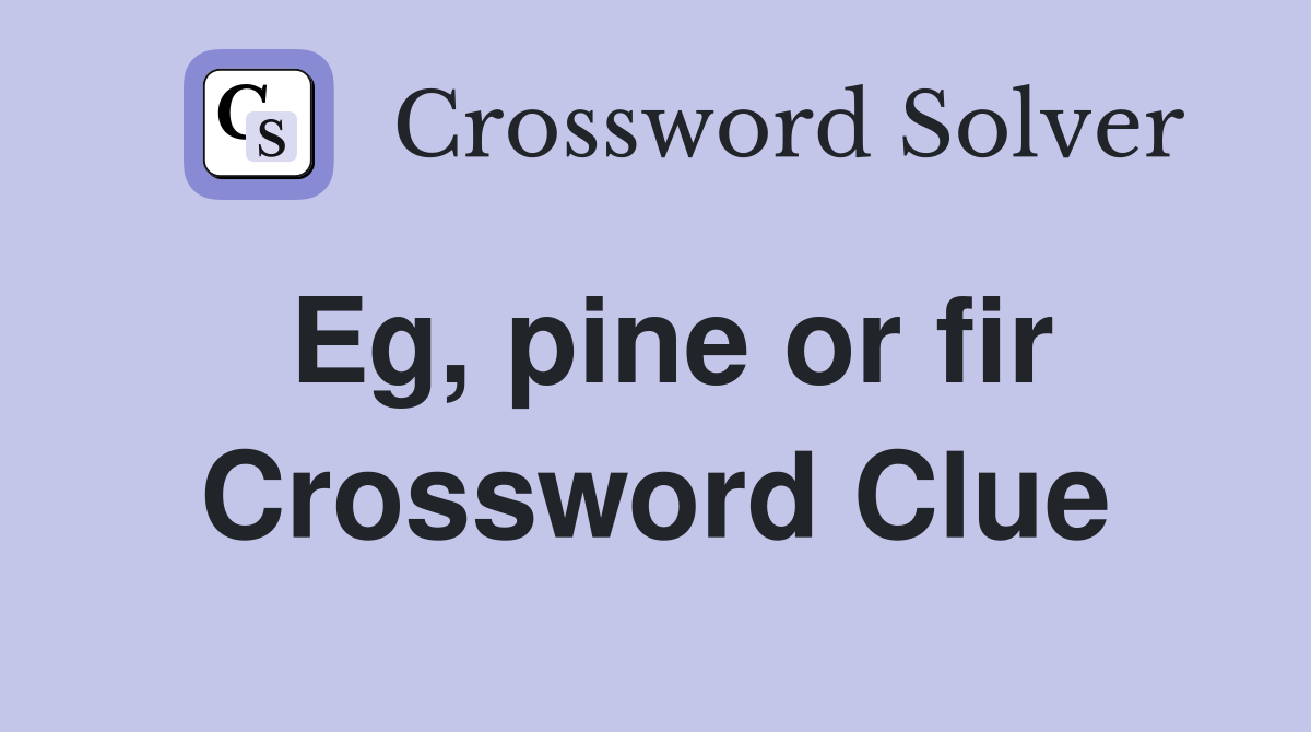 Eg, pine or fir Crossword Clue