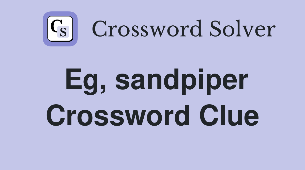 Eg, sandpiper Crossword Clue